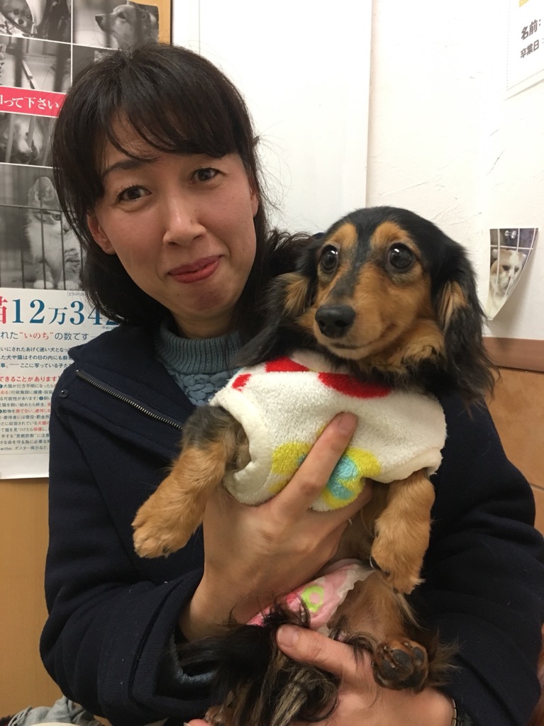 【運命の赤い糸見～つけた💓ヨーキーのアイスちゃん💕、Mダックスのマリーアントワネットちゃん💕】